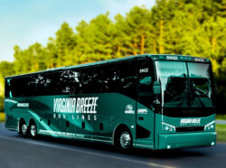 Celebra el Día de la Tierra con Viajes Sostenibles